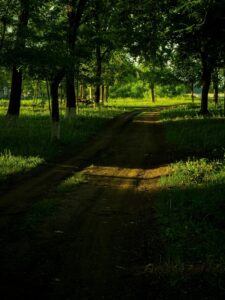 Best Time to Have a Destination Wedding in Ranthambore