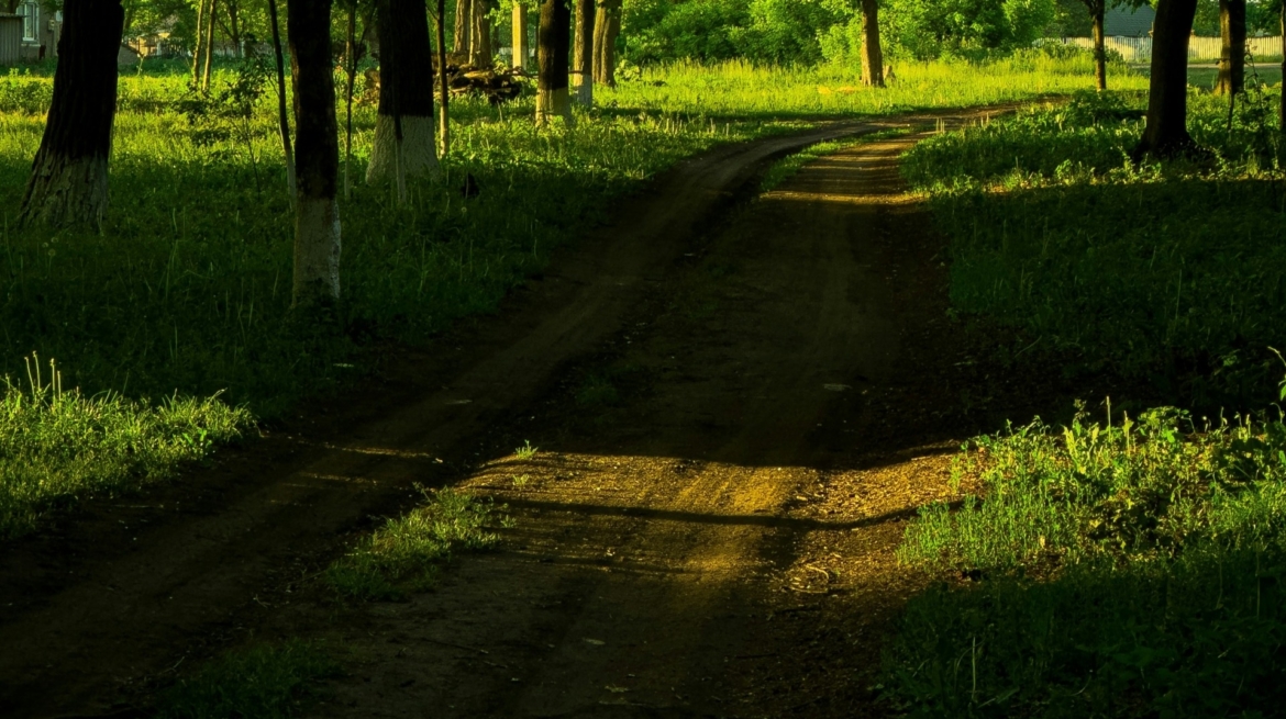Best Time to Have a Destination Wedding in Ranthambore
