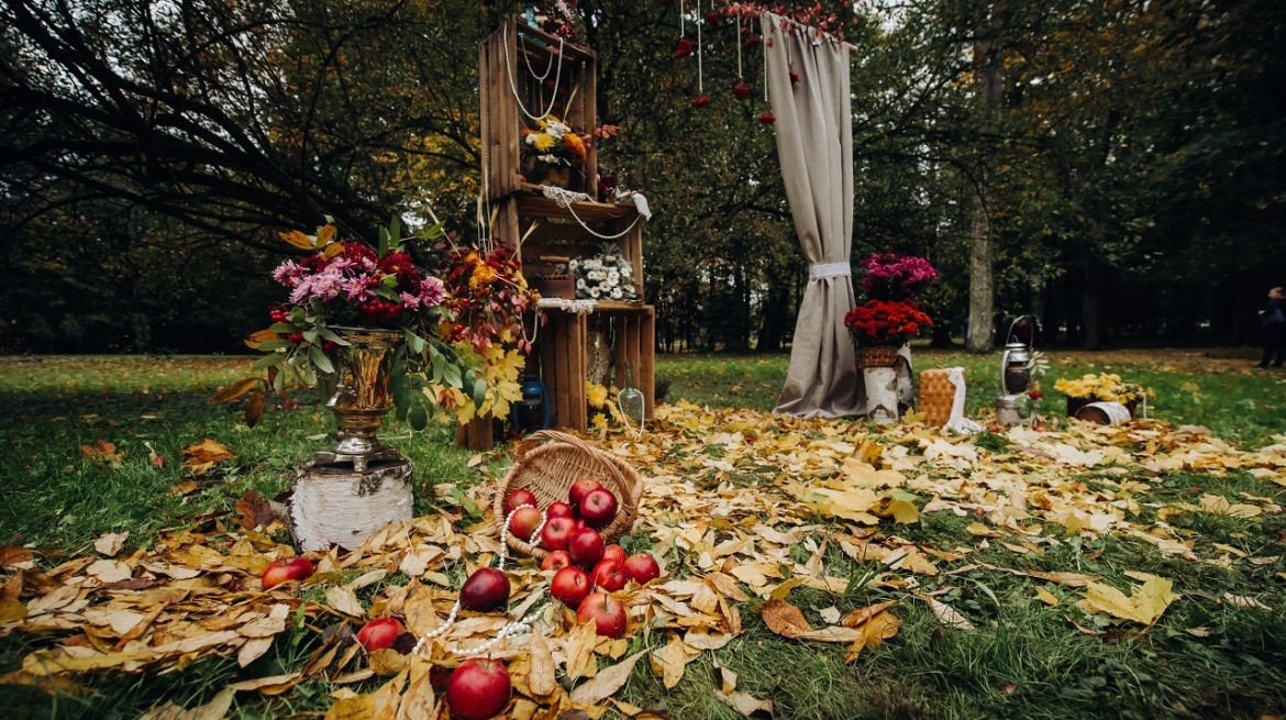 Destination Wedding in Ranthambore