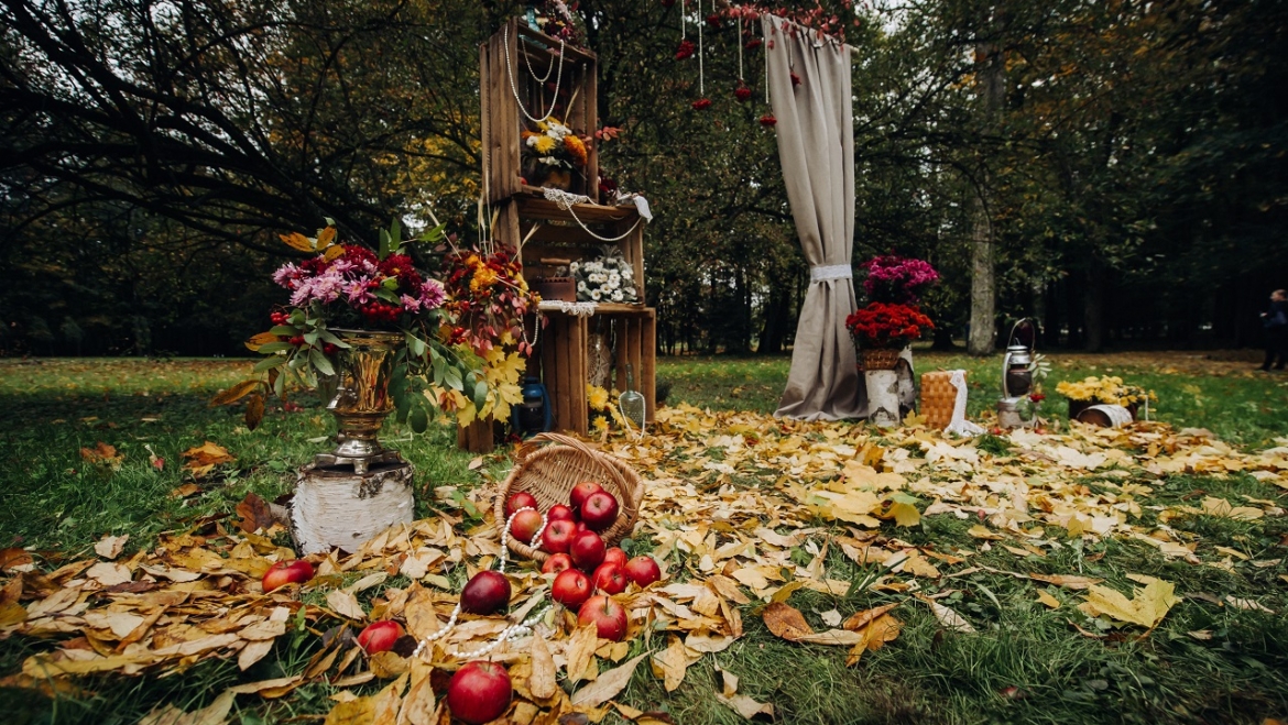 Wedding Decorations