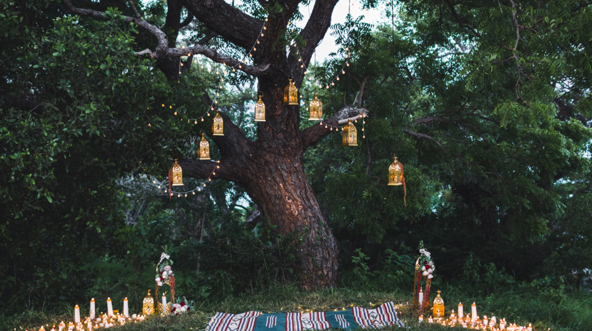 Secrets to a Stunning Ranthambore Wedding: Tips from Local Experts